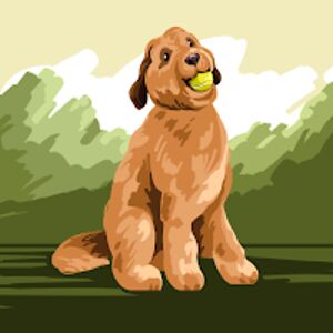 andrewronald_5 avatar