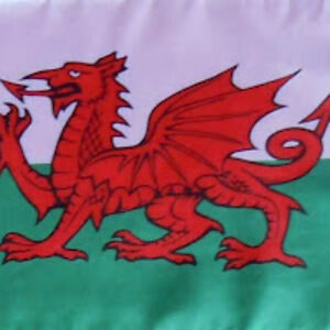 anthonyedwards_2 avatar