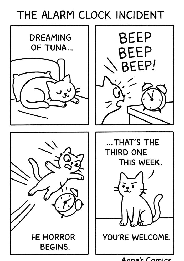 The Alarm Clock Incident