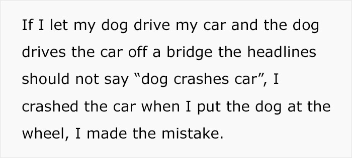 Text about dog driving car accident used to illustrate misleading headlines in 2025 summer reading list runs. Text about dog driving car accident used to illustrate misleading headlines in 2025 summer reading list runs.