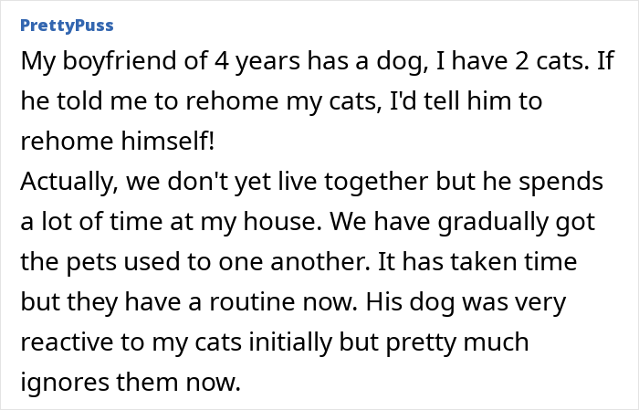 Rottweiler Owner Asks If She&rsquo;s Being Unreasonable To Want To Get Rid Of Fianc&eacute;&rsquo;s Cats