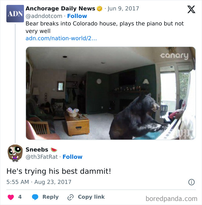 Bear breaks into house and awkwardly plays piano, captured in a chaotic meme perfect for when life gets a little boring.