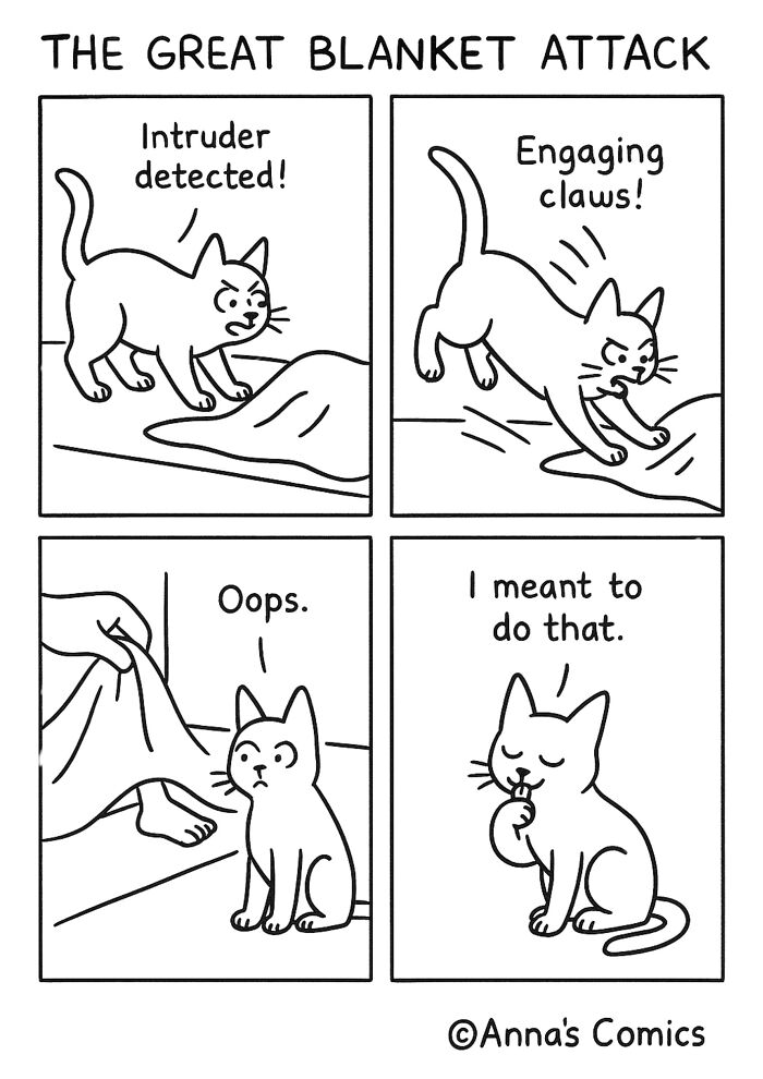 The Great Blanket Attack