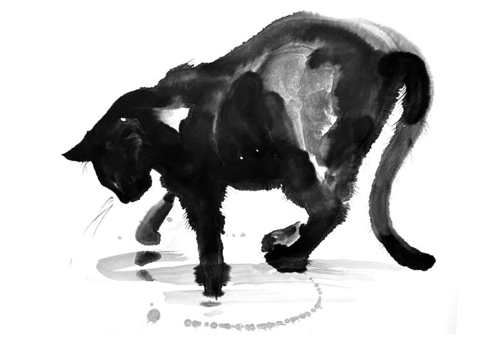 Black cat art in ink style showing a cat curiously pawing at water, featured in best cat art collection.