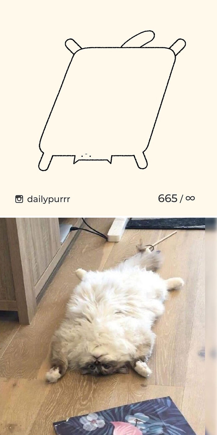 Minimalist cat art sketch paired with a fluffy cat lying on its back, capturing cozy cat art moments.