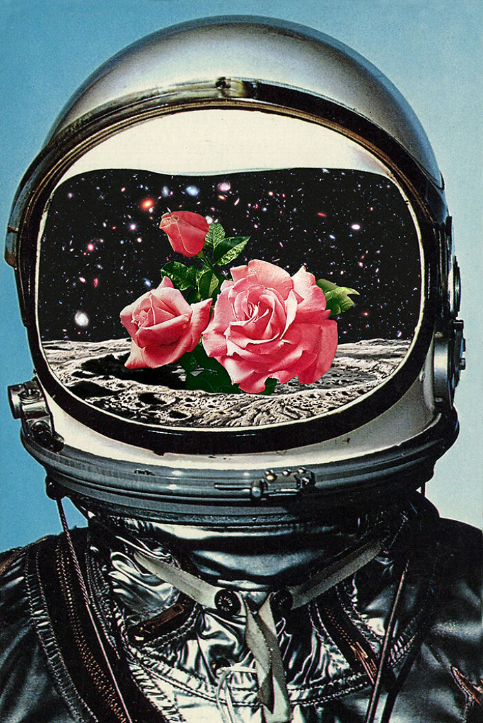 Photo manipulation of an astronaut helmet reflecting cosmic space with blooming pink roses on a lunar surface collage.