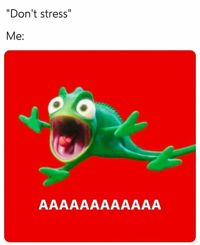 Relatable meme featuring a cartoon chameleon screaming AAAAAAAAAAA with stress on a red background.