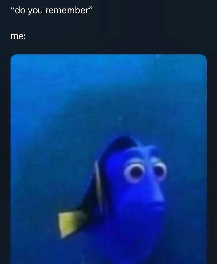 Relatable meme featuring a forgetful blue fish with wide eyes, perfect for those who need a chuckle today.