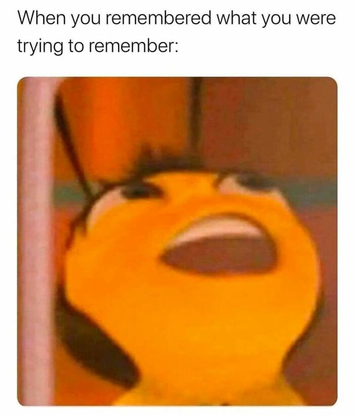 Meme with a close-up of a surprised animated bee face capturing relatable moments in memes for a chuckle.