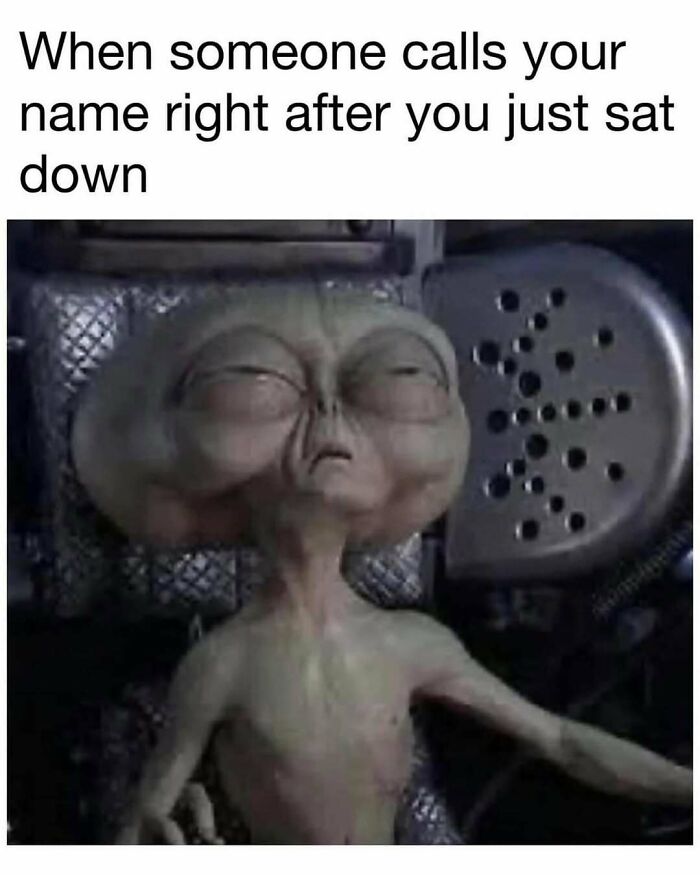 32 Completely Random But Also Hilarious Memes That May Make Your Day A ...