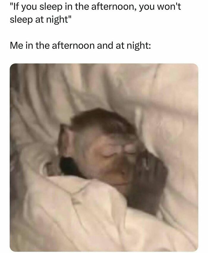 Sleeping monkey wrapped in blanket illustrating a relatable meme for those who could use a chuckle today about napping habits.