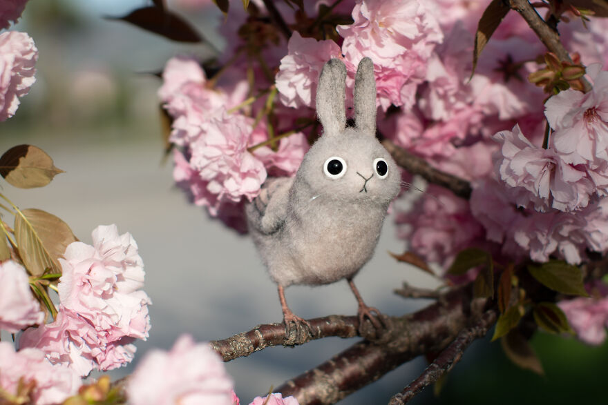 He’s Small, He’s Tired, He’s Doing His Best: Meet Zaebushek He’s Small, He’s Tired, He’s Doing His Best: Meet Zaebushek