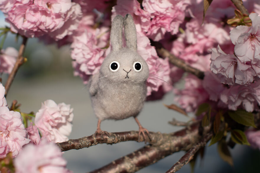 He’s Small, He’s Tired, He’s Doing His Best: Meet Zaebushek He’s Small, He’s Tired, He’s Doing His Best: Meet Zaebushek