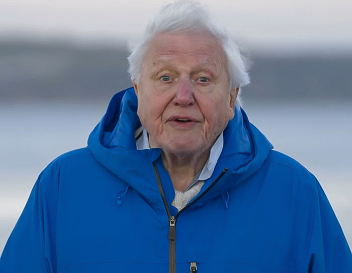 David Attenborough outdoors wearing a blue jacket, delivering an urgent warning about nearing the end of his life. David Attenborough outdoors wearing a blue jacket, delivering an urgent warning about nearing the end of his life.