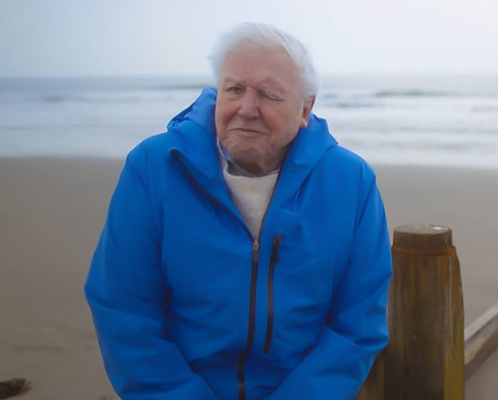 David Attenborough wearing blue jacket at the beach, reflecting on nearing the end of his life with urgent warning. David Attenborough wearing blue jacket at the beach, reflecting on nearing the end of his life with urgent warning.