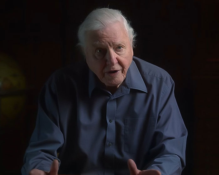 David Attenborough in a dark room wearing a blue shirt, speaking while sharing an urgent warning about life nearing its end. David Attenborough in a dark room wearing a blue shirt, speaking while sharing an urgent warning about life nearing its end.
