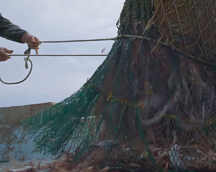 Fisherman pulling a heavy green net full of fish on a boat, highlighting urgent environmental warning by David Attenborough Fisherman pulling a heavy green net full of fish on a boat, highlighting urgent environmental warning by David Attenborough