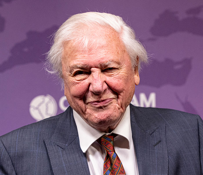 David Attenborough in a suit and patterned tie, smiling gently while addressing an audience at an event. David Attenborough in a suit and patterned tie, smiling gently while addressing an audience at an event.