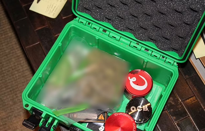 Green container with blurred items and round shaped objects, part of disturbing items found in Miami mansion raid evidence. Green container with blurred items and round shaped objects, part of disturbing items found in Miami mansion raid evidence.