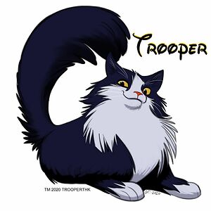 terribrittingham avatar