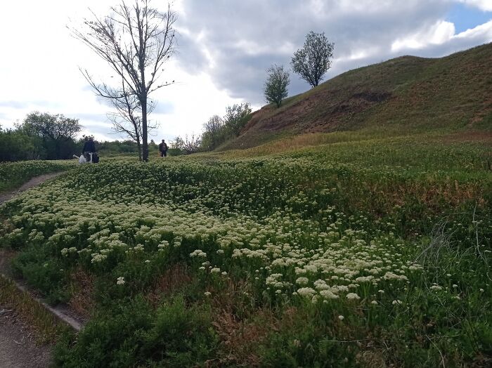 From Chaos To Canvas: How A Spontaneous Art Journey Became An Unforgettable Adventure From Chaos To Canvas: How A Spontaneous Art Journey Became An Unforgettable Adventure