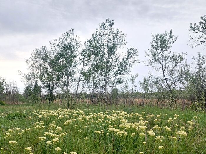 From Chaos To Canvas: How A Spontaneous Art Journey Became An Unforgettable Adventure From Chaos To Canvas: How A Spontaneous Art Journey Became An Unforgettable Adventure