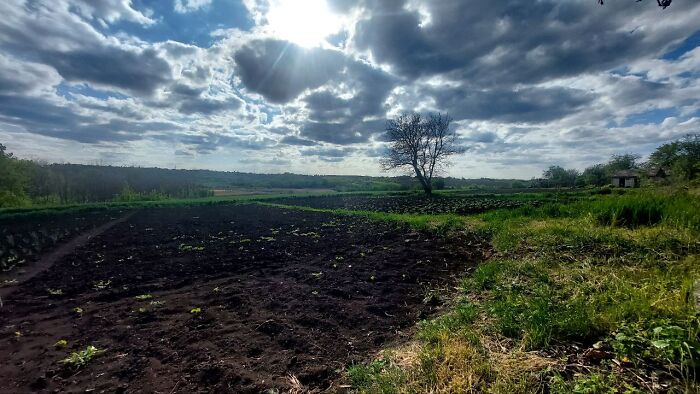 From Chaos To Canvas: How A Spontaneous Art Journey Became An Unforgettable Adventure From Chaos To Canvas: How A Spontaneous Art Journey Became An Unforgettable Adventure