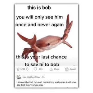 sawyer-dewein avatar