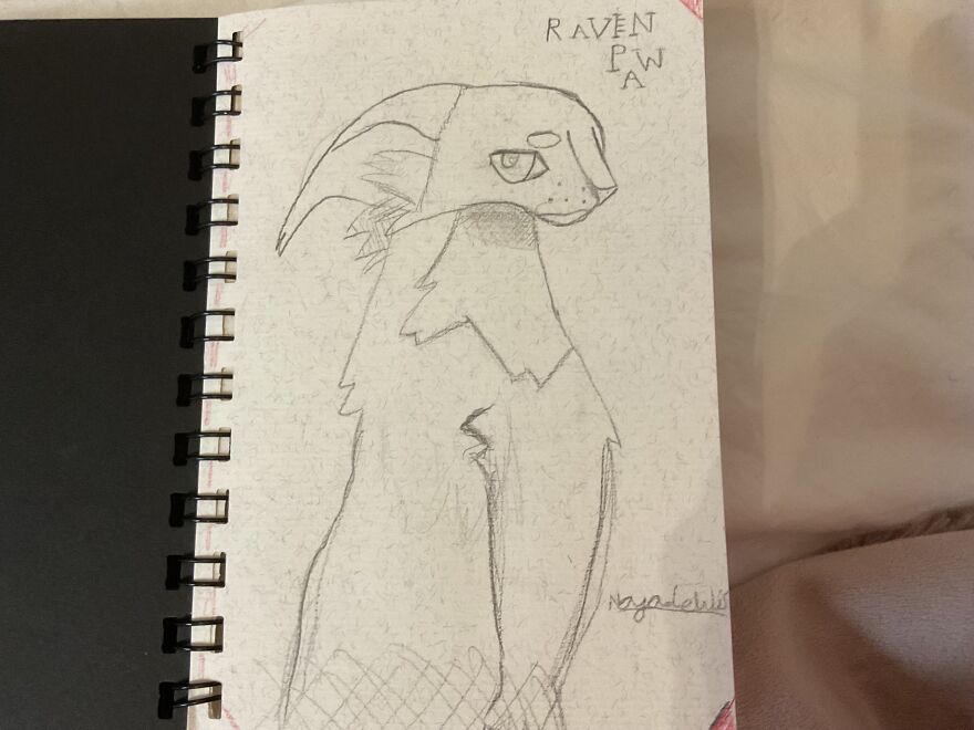 My Warrior Cats Drawing! My Warrior Cats Drawing!