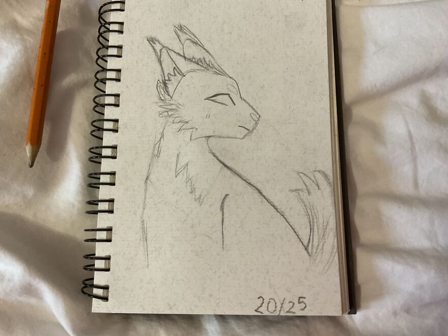 My Warrior Cats Drawing My Warrior Cats Drawing