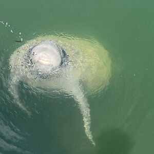 patrickbindler_1 avatar