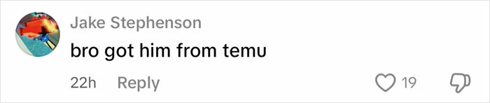 Comment on social media from Jake Stephenson saying bro got him from temu with 19 likes and reply option visible. Comment on social media from Jake Stephenson saying bro got him from temu with 19 likes and reply option visible.