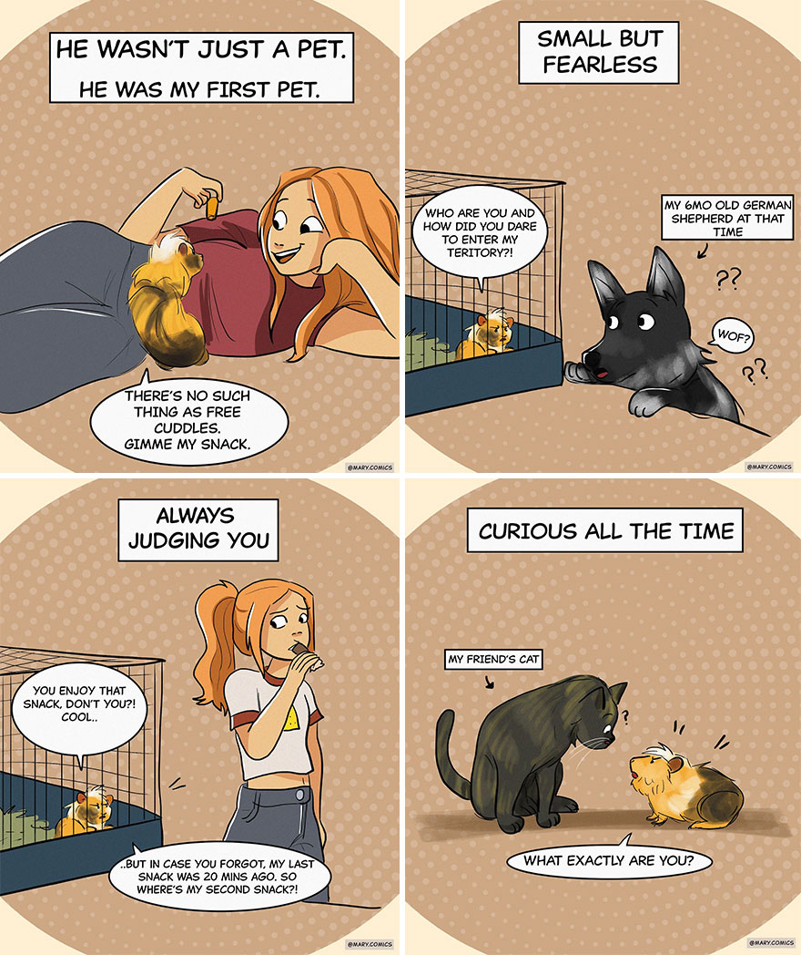 Cartoon comic panels showing relatable pet interactions, highlighting humor and curiosity in everyday moments.