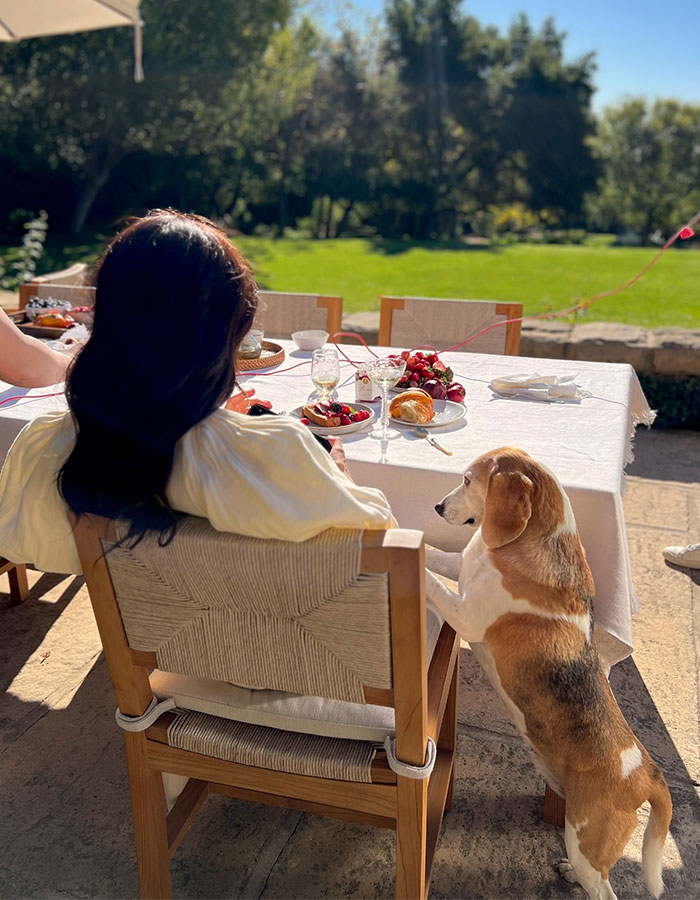Woman seated at table outdoors with dog standing beside chair in a sunny Montecito garden scene. Woman seated at table outdoors with dog standing beside chair in a sunny Montecito garden scene.
