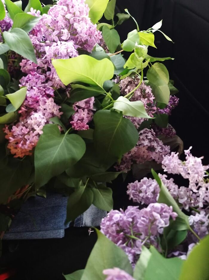 Painting Above The Blossoms: My Spring Plein Air Journey In Ukraine (7 Pics) Painting Above The Blossoms: My Spring Plein Air Journey In Ukraine (7 Pics)