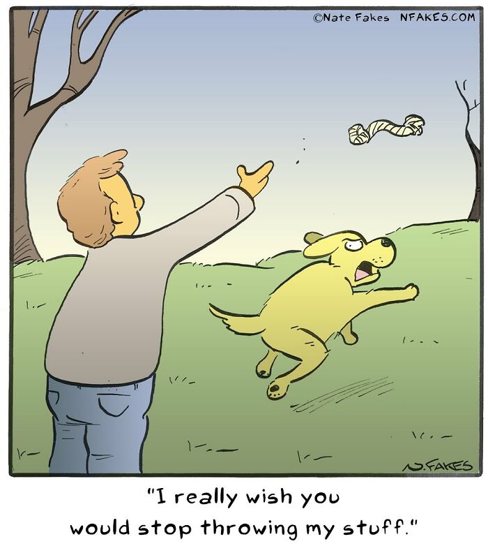 One-panel comic by Nate Fakes showing a man throwing a bandaged object as a dog chases it in a park.