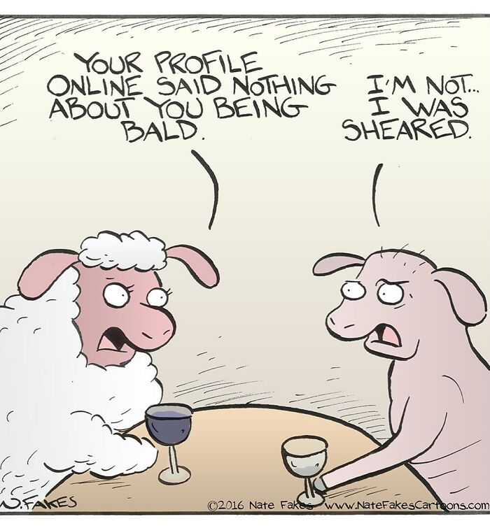 One-panel comic by Nate Fakes showing two sheep discussing being bald and sheared over wine.