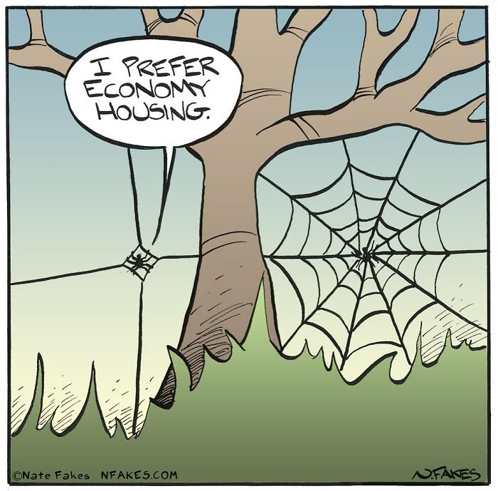 Spider in a one-panel comic by Nate Fakes saying I prefer economy housing with a simple web near a tree.