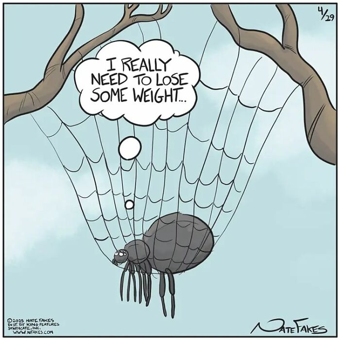One-panel comic by Nate Fakes featuring a spider stuck in its web thinking it needs to lose weight.