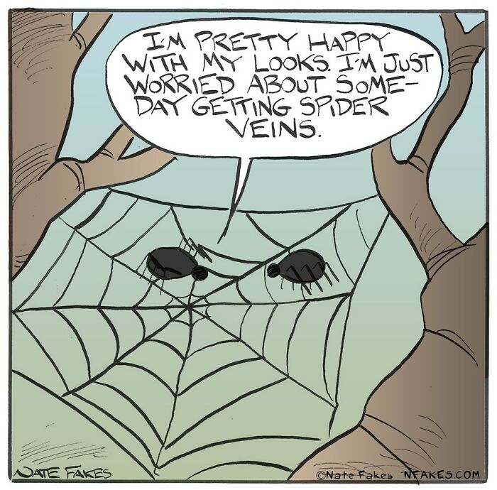One-panel comic by Nate Fakes showing spiders on a web joking about getting spider veins in the future.