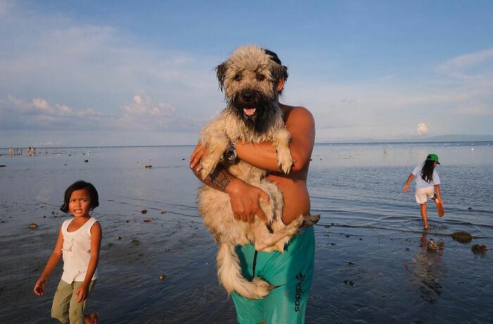 Man holding a large dog by the shore with children playing in shallow water in the background, dogs owning the streets theme.