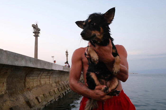 Man holding a small dog by the water at sunset, showcasing dogs owning the streets in a candid moment.