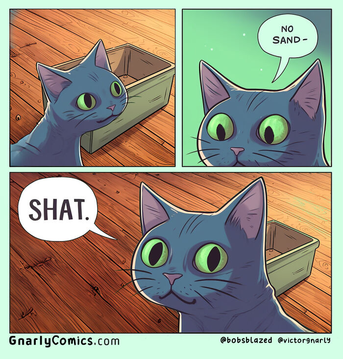 Comic panel by Victor Gnarly featuring a cat humorously reacting to its litter box, illustrating life's little annoyances.