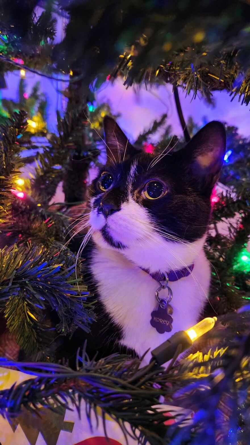 I Know I'm In Trouble, But I Look Good. I Know I'm In Trouble, But I Look Good.