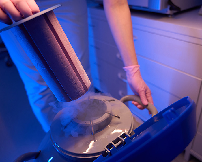 Cryonics equipment releasing vapor as a technician in gloves prepares to freeze a body for long-term preservation. Cryonics equipment releasing vapor as a technician in gloves prepares to freeze a body for long-term preservation.