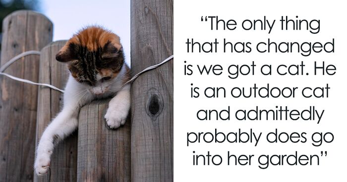 Elderly Neighbor Makes An Unexpected Decision To Put Spikes On Her Fence, Leaving Couple Baffled