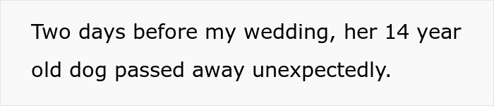 Text panel stating a story about a maid of honor missing sister’s wedding after losing her 14-year-old dog unexpectedly. Text panel stating a story about a maid of honor missing sister’s wedding after losing her 14-year-old dog unexpectedly.
