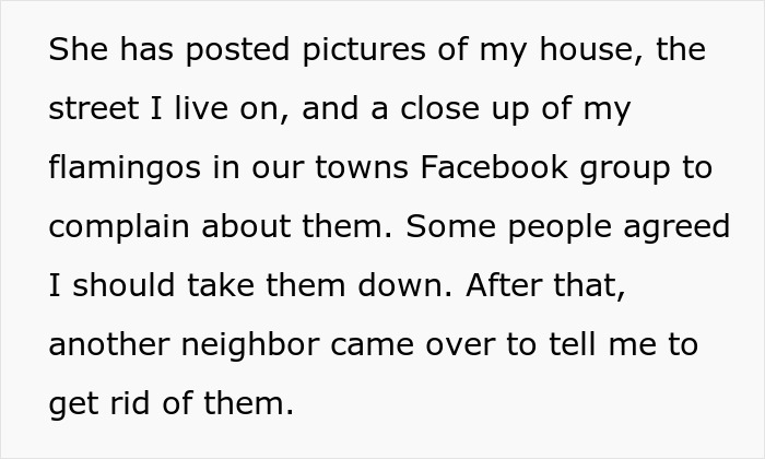 Text describing a Facebook campaign against neighbor's pink flamingos and a reply planning to buy more flamingos.