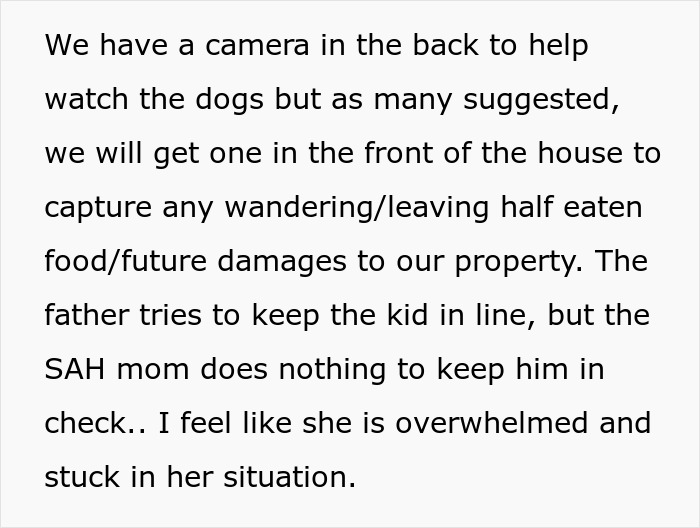 Text discussing setting up cameras to monitor dogs and property damage caused by neighbor’s kid using fence as fast food window.