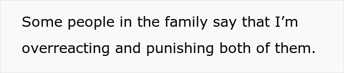 Text on a plain white background stating a family member feels accused of overreacting and punishing both parties involved. Text on a plain white background stating a family member feels accused of overreacting and punishing both parties involved.